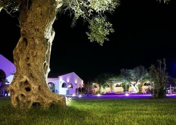 Masseria Colle Carro Ba07200451000019667 Альтамура Екстер'єр фото