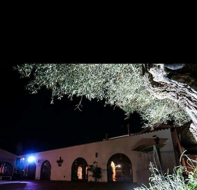Masseria Colle Carro Ba07200451000019667 Альтамура Екстер'єр фото